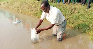 Wang’chieng’ CBO Receives 1,500 Tilapia Fingerlings from Homa Bay County